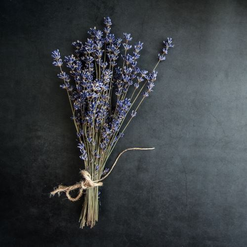 Lavender essential oil