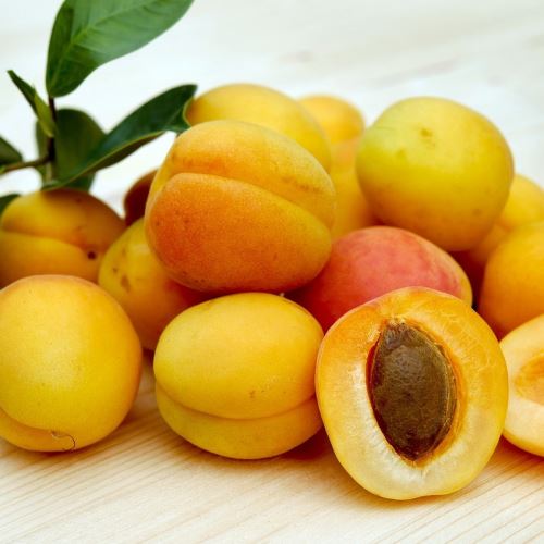 Apricot oil