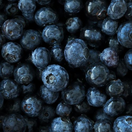 Natural blueberry conditioner