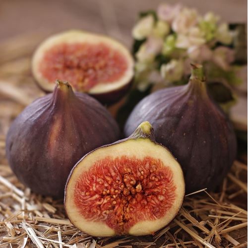 Fig and vanilla