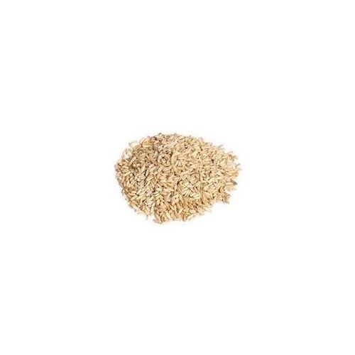 Oat protein hydrolyzed, foamy