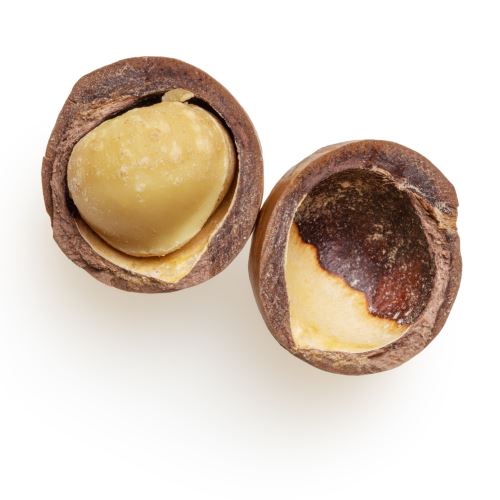 Macadamia oil