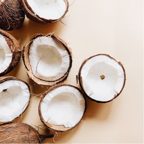 Dried coconut milk