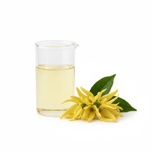 Ylang ylang essential oil